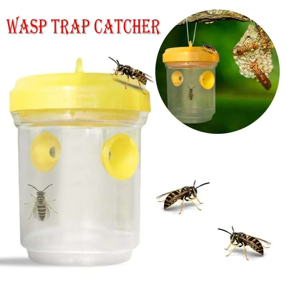 Trappola Per Mosche In Plastica Catcher Strumento Per Apicoltura Durevole Hanging Wasp Catcher Cage Wasp Trap Bottle Outdoor