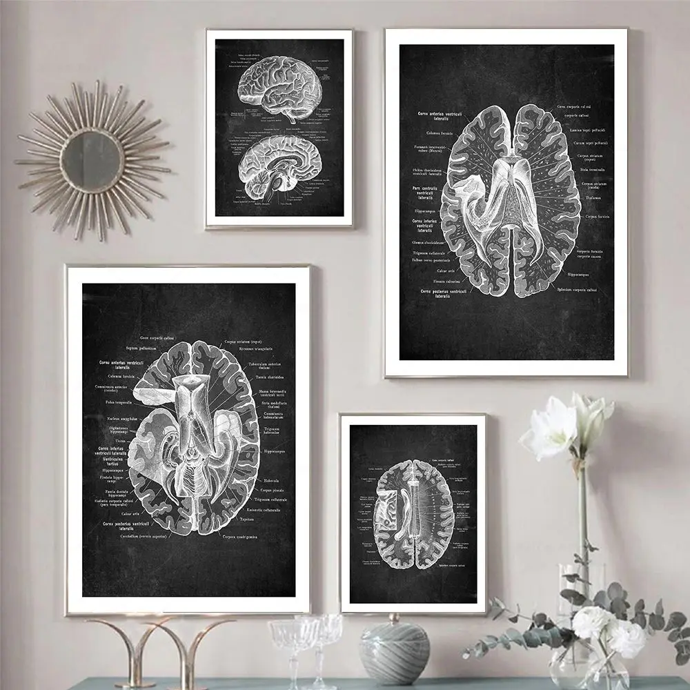 Vintage Human Head Anatomy Art Poster Medical Wall Picture Brain Neuroscience Canvas Painting Print Doctor Office Clinic Decor