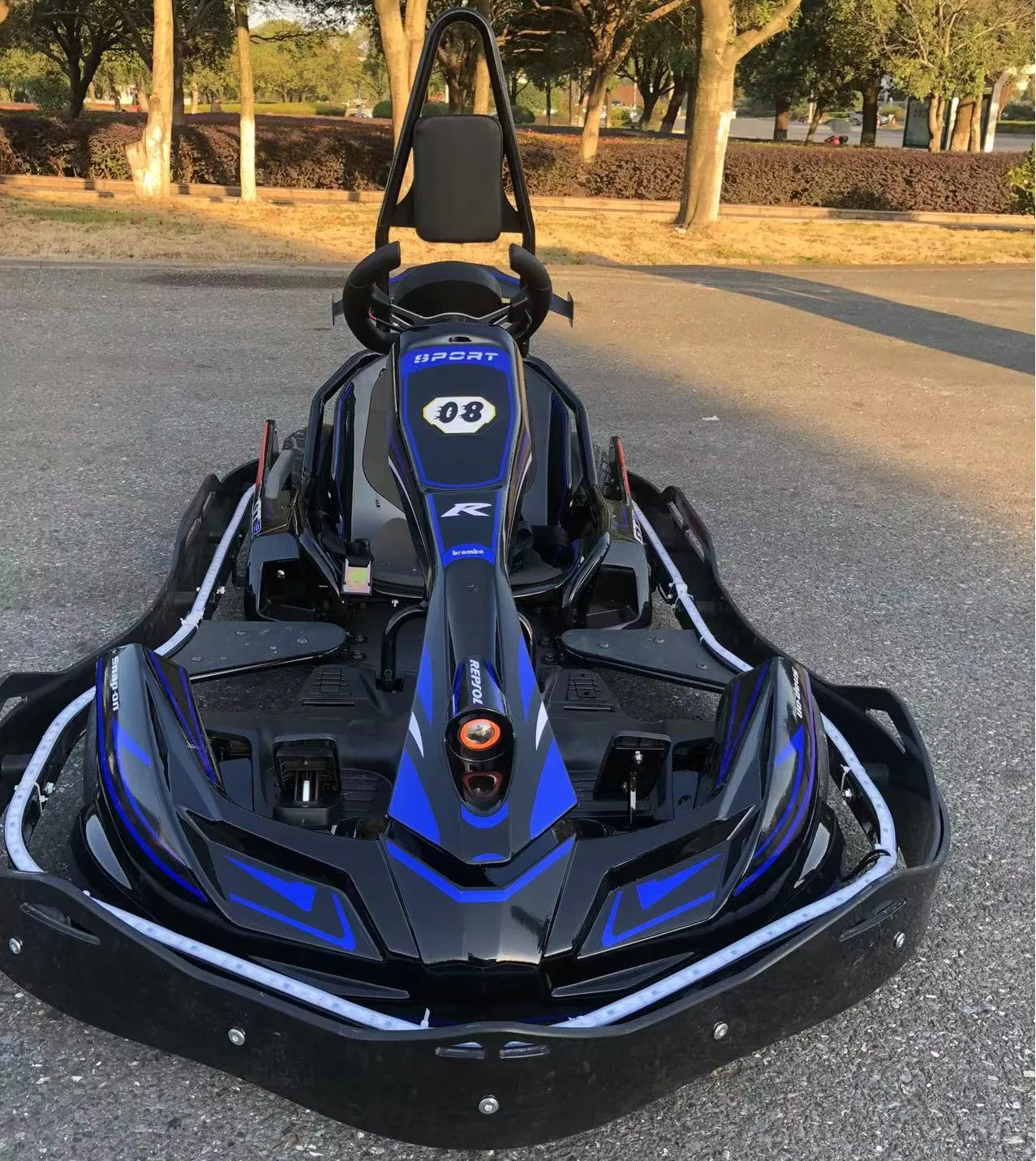 Vendita Calda Go Kart Pro High Speed Kids Racing Go Karting Adult Racing Go Kart In Vendita Velocità Massima 37 Km/H Go Kart Kit