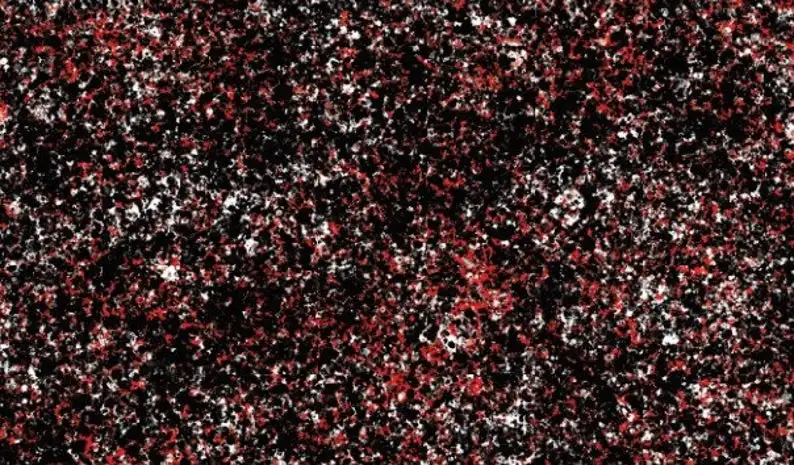 Grande Astratto, Jackson Pollock, Stile, Arte Moderna Astratta, Pittura A Olio Astratta, Pittura Astratta, Contemporanea