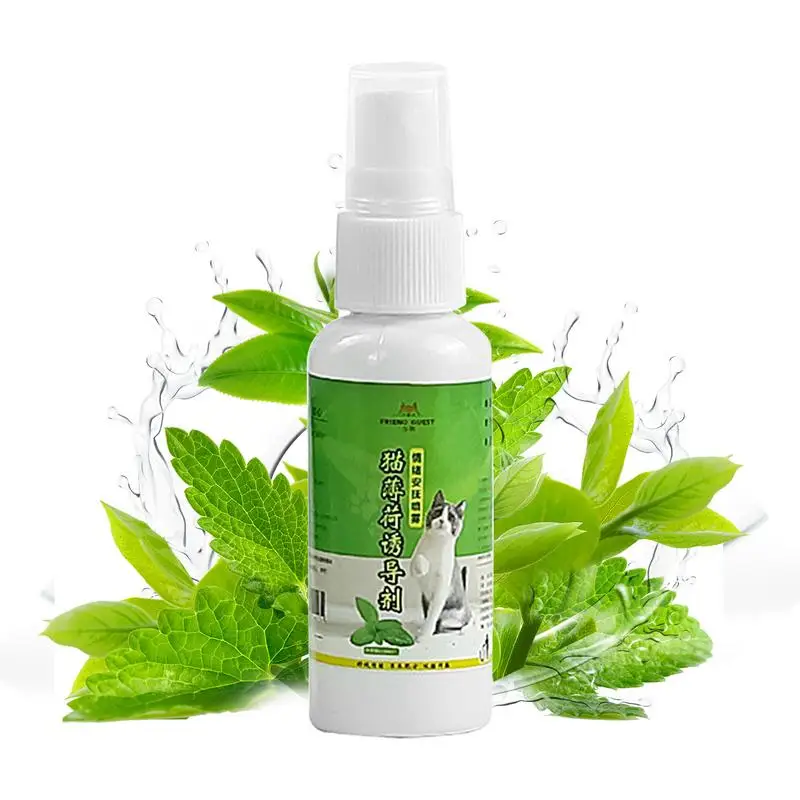 50Ml Cat Catnip Spray Naturale Sano Sicuro Effetto A Lungo Termine Scratching Pad Inducer Catmint Cat Pet Training Toy