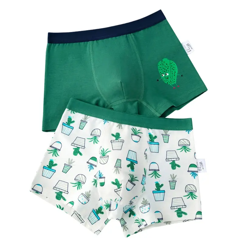 2 Pz/Lotto Green Boy Underwear Boxer All Seasons Boy Cotton Undermutandine Abbigliamento Per Bambini 3 4 6 8 10 12 14 Anni Oku203020