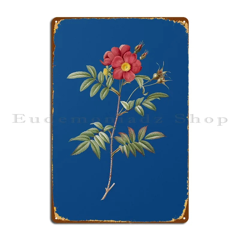 Rosa Redutea Glauca Metal Sign Party Wall Decor Pub Design Personalizzato Pub Tin Sign Poster