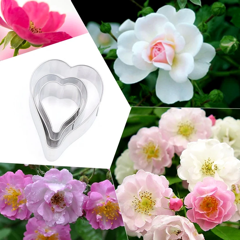3 Pz/Set Rosa Multiflora Petalo Cutter Set Strumenti Per Decorare Torte Fondente Biscotto In Acciaio Inossidabile