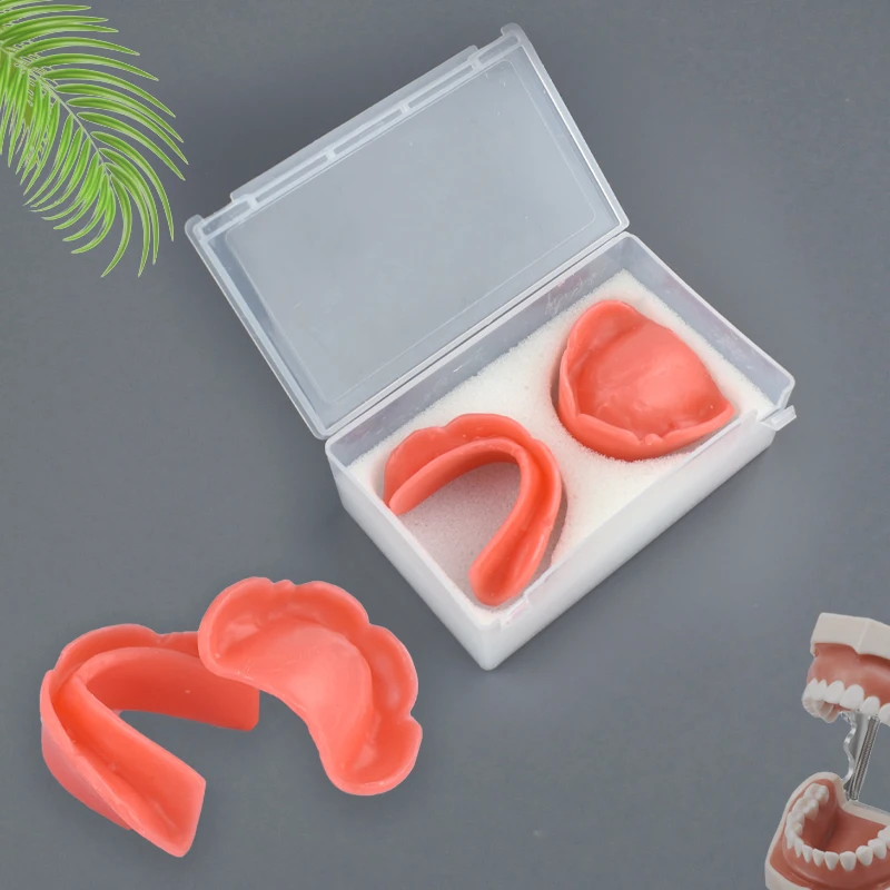 Dental Edentolous Jaw Soft Wax Embankment Model Modello Dentale Strumento Didattico Per L'Apprendimento Degli Studenti