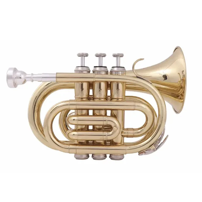 La Migliore Vendita Di Produzione Oem Bb Tone Mini Model Glod Laccate Colorful Pocket Tromba