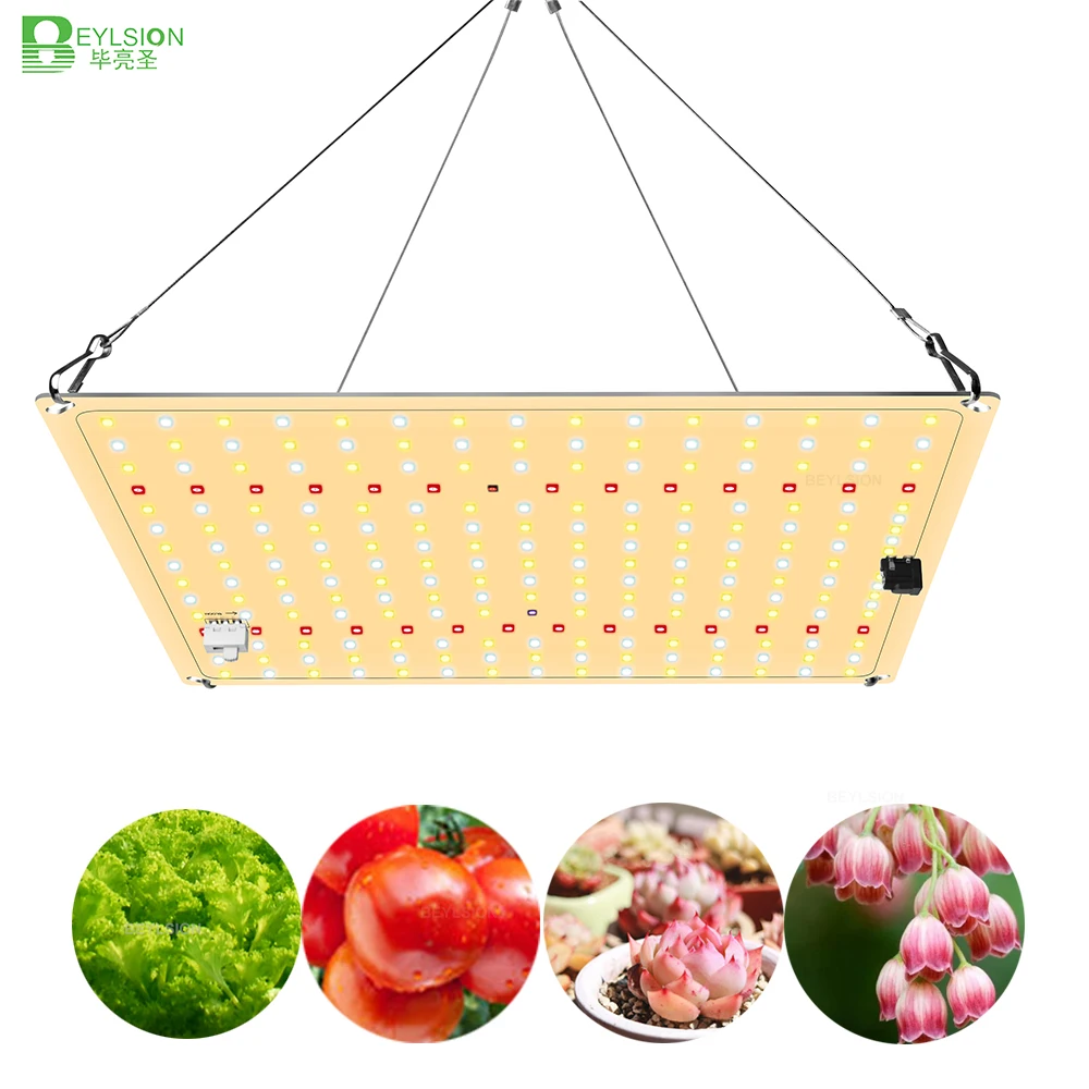 Beylsion Dimmerabile 850Wscp Ir Uv Samsung Led Grow Lights Full Spectrum Quantum Board High Ppfd No Fan Light Seedling Veg Blooming
