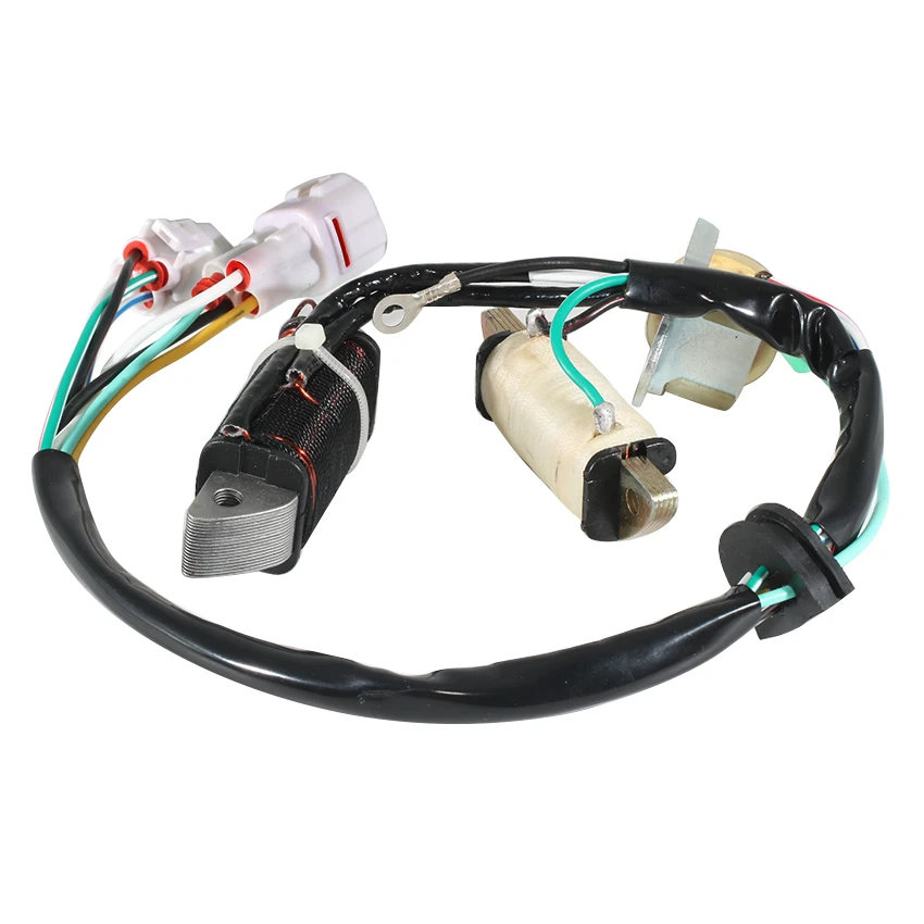 Muslimmoto Magneto Generatore Statore Bobina Per Yamaha Yfm 50 Raptor 50 Yfm 80 Tasso 80 Yfm 80 Raptor 80 Accessori