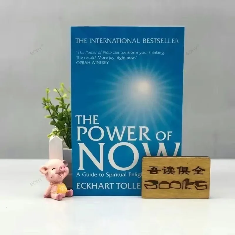 La Potenza Corrente Il Potere Di Now Di Eckhart Tolle Inspirational Novel Book Libro