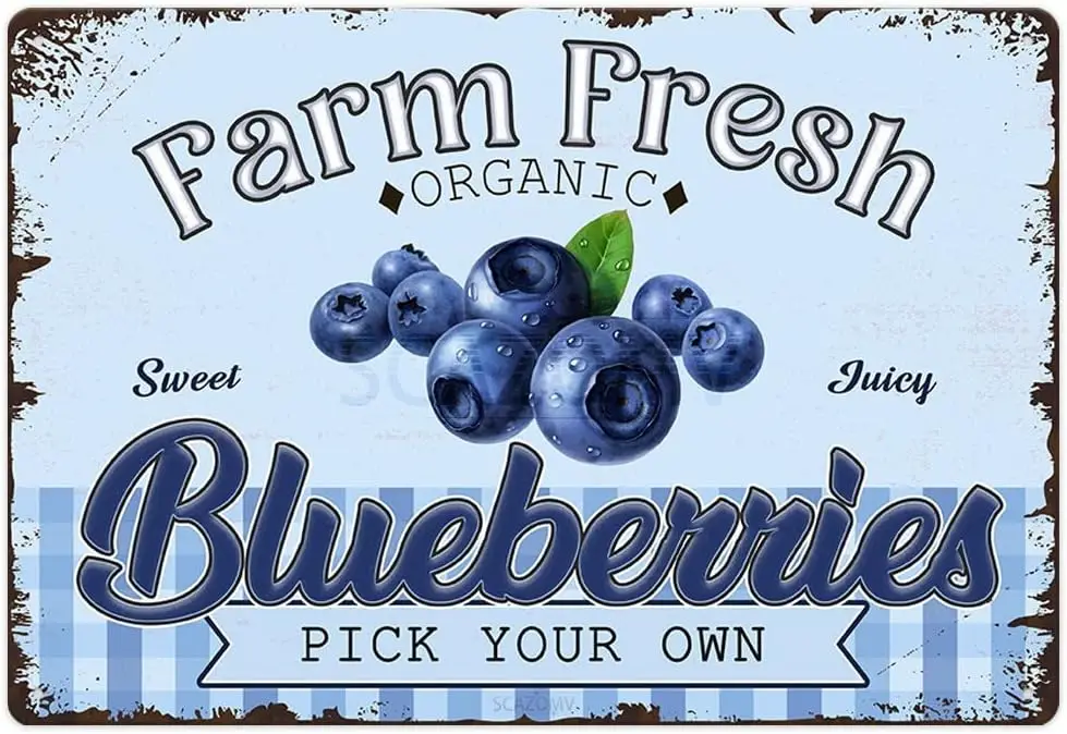 Farm Fresh Sweet Juicy Mirtilli Vintage Metal Tin Sign, Retro Fruit Poster Decorativo Wall Art Signage, Farmhouse