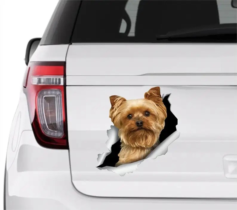 Yorkshire Sticker Yorkshire Car Decal Dog Yorkshire Terrier Car Sticker York Sticker Adesivi Per Cani Decalcomanie Per Cani Decalcomania Per Auto Lady