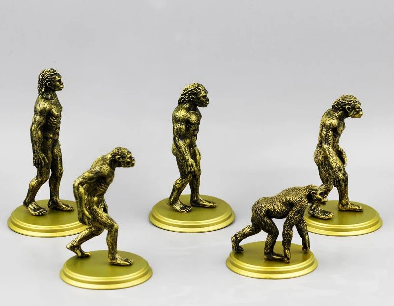 Figura Mental Psychological Sand Table Game Box Court Therapy Teoria Evolution Di Darwin: Il Modello Di Origine Umana 5 Pz/Set