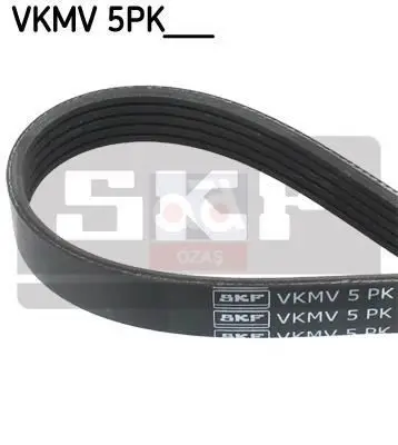 Codice Negozio: 1987947917 Per V-C-Alb-Ast.G.H-Crs.C-Mv-Mv-Zfr 1. C---1.