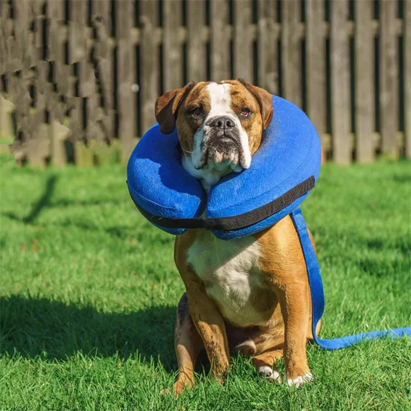 Inflatable E-Collar For Dogs Removable Cover Pet Cat Or Dog Inflatable Collar Soft Pet Recovery Collar After Surgery Protective