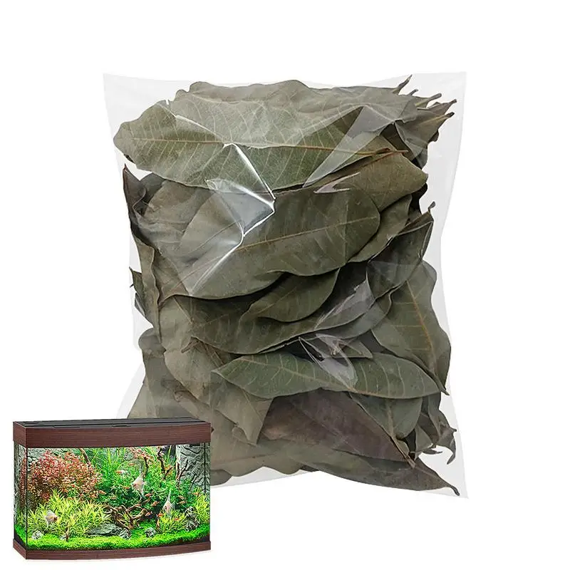 Turtle Longan Leaf Betta Fish Toys Foglie Di Longan Per Migliorare La Qualità Dell'Acqua E Creare Habitat Realistico 50 Pezzi Foglia Di Longan Per