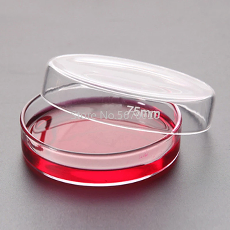 10 Pezzi/Pacco 75 Millimetri Boro Vetro Capsule Di Petri A Prezzi Accessibili Per Il Cellulare Trasparente Sterile Strumento Chimico Cultura Piatto Fo