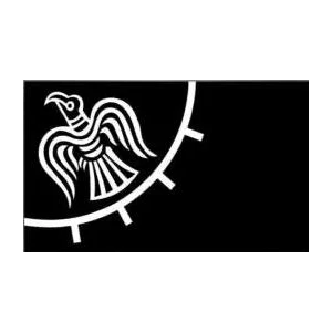 Elezione 90X150Cm Viking Raven Flying Custom Outdoor Vr2 Flag