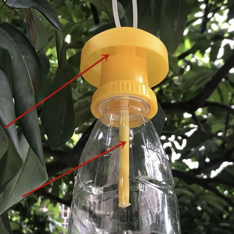 Hot New Cheap Fruit Fly Trap Killer Plastica Giallo Drosophila Trap Fly Catcher Pest Controllo Degli Insetti Per La Casa Fattoria Frutteto 6*6*2Cm