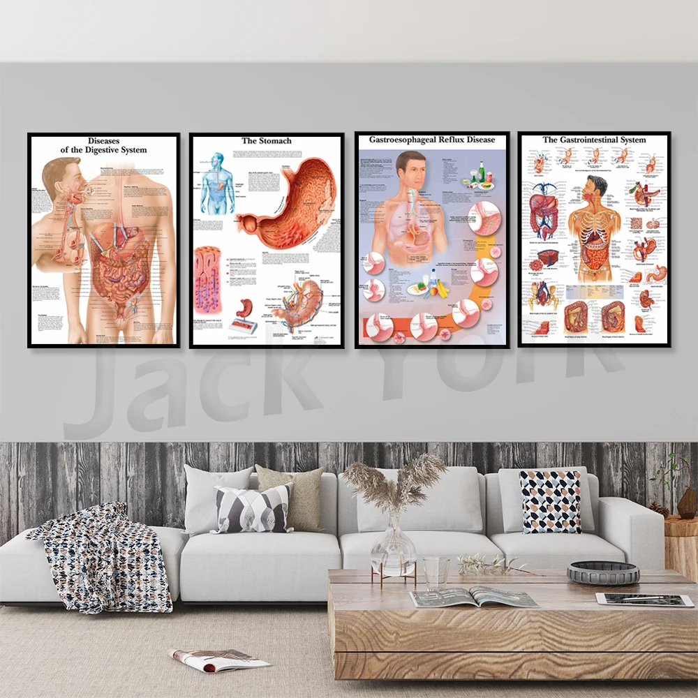 Schema Del Sistema Digestivo Art Poster Print Body Map Canvas Painting Immagini A Parete Per L'Educazione Medica Home Decor