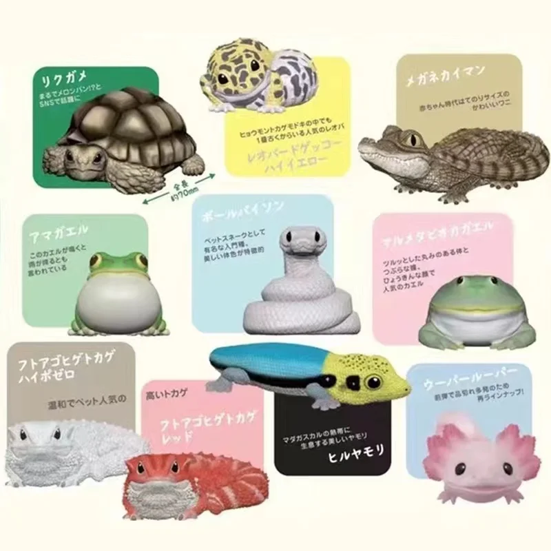 Bandai Giapponese Modello In Scala Genuina Palm Animal Tortoises Caiman Coccodrillo Rain Rane Manded Lion Lucertole Action Figure Toys