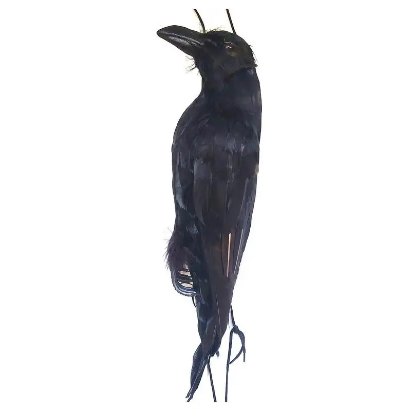 Realistico Hanging Dead Crow 1 Pack Large Halloween Black Piumed Crow Decoys Ravens Decorazioni Per Halloween All'Aperto Puntelli Decor