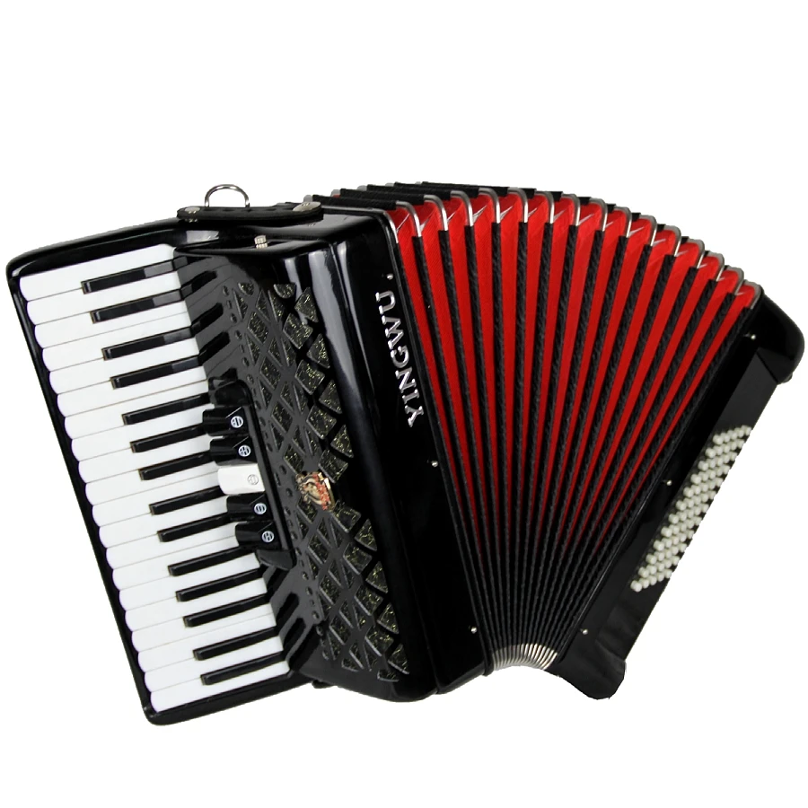 Yingwu Professional 41 Keys 120 Fisarmonica A Fisarmonica Per Basso Con Supporto Per Borsa Per Il Trasporto Strumenti Musicali Fisarmonica