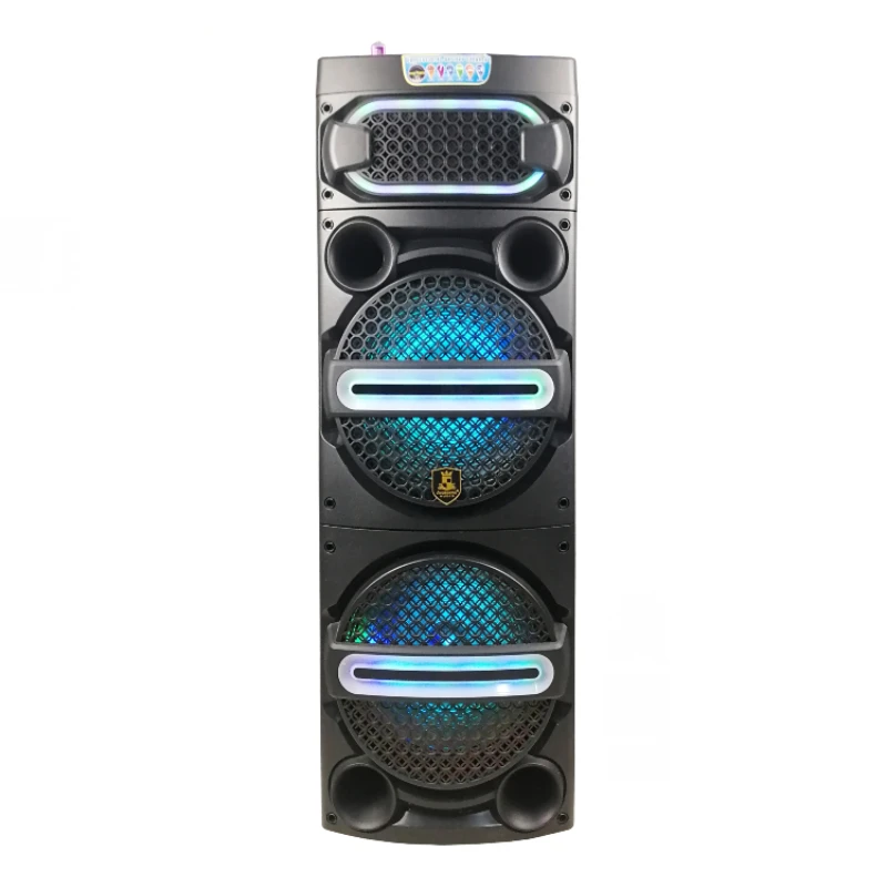 Doppio Subwoofer Da Esterno Da 12 Pollici Potente Altoparlante Professionale Per Dj Audio Box Pa Systems Speaker