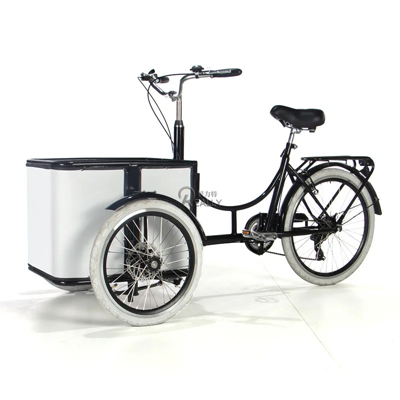 Standard Europeo Olandese Elettrico Adulto Brushless E Cargo Triciclo Famiglia Cargo Pedal 3 Ruote Bici Tourney 6 Velocità Cargo Trike