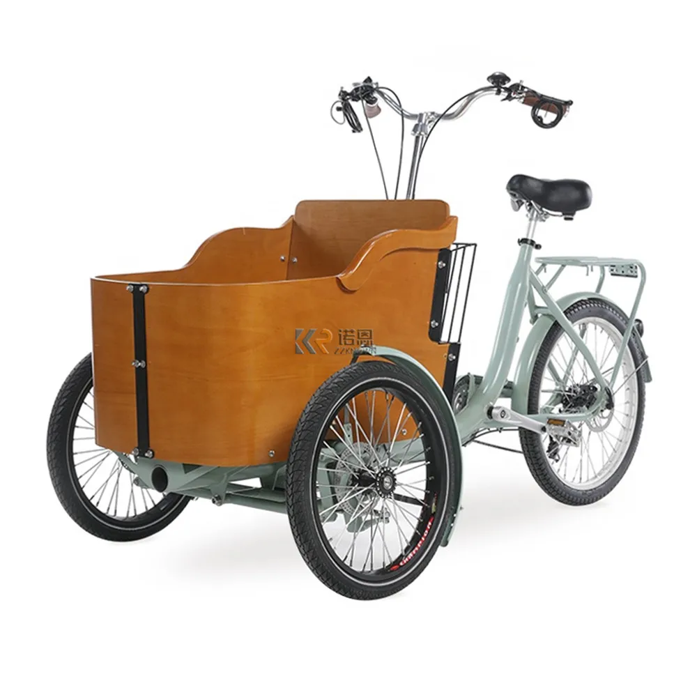 Family Dutch Trike Triciclo Elettrico Cargo Bike Per Lo Shopping Carry Kids Pets Batteria Al Litio Pedelec Cargo E Trikes