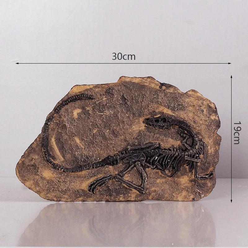 Jurassic Dinosaur Fossil Wall Decoration Dragon Tyrannosaurus Fossil Skeleton Simulazione Modello Di Insegnamento Animale Regali Per Bambini Giocattol