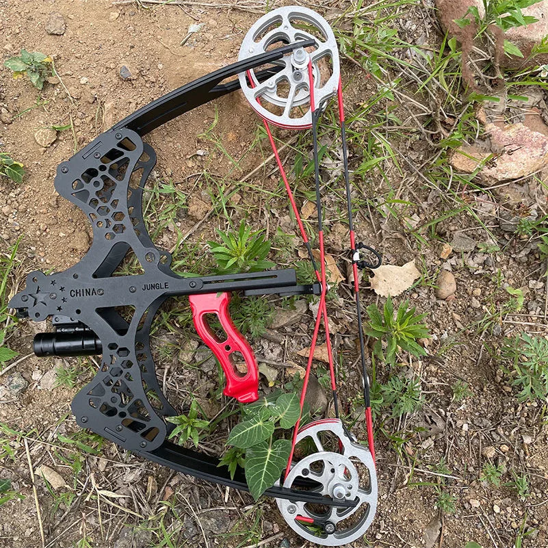 40Lbs Mini Dual Purpose Steel Ball Compound Pulley Bow And Arrow Con Mirino Laser Outdoor Fish And Arrow Shooting Equipment
