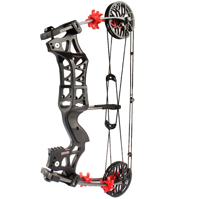 30-60Lbs Regolabile Falcon Steel Ball Bow Tiro Con L'Arco Dual-Purpose Compound Pulley Bow M109E Outdoor Entertainment Bow And Arrow