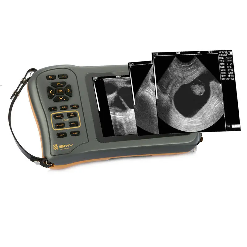 Muslimlimexecografo Bmv Farmscan M50 Ultrasonido Portatil Veterinaire Echografo