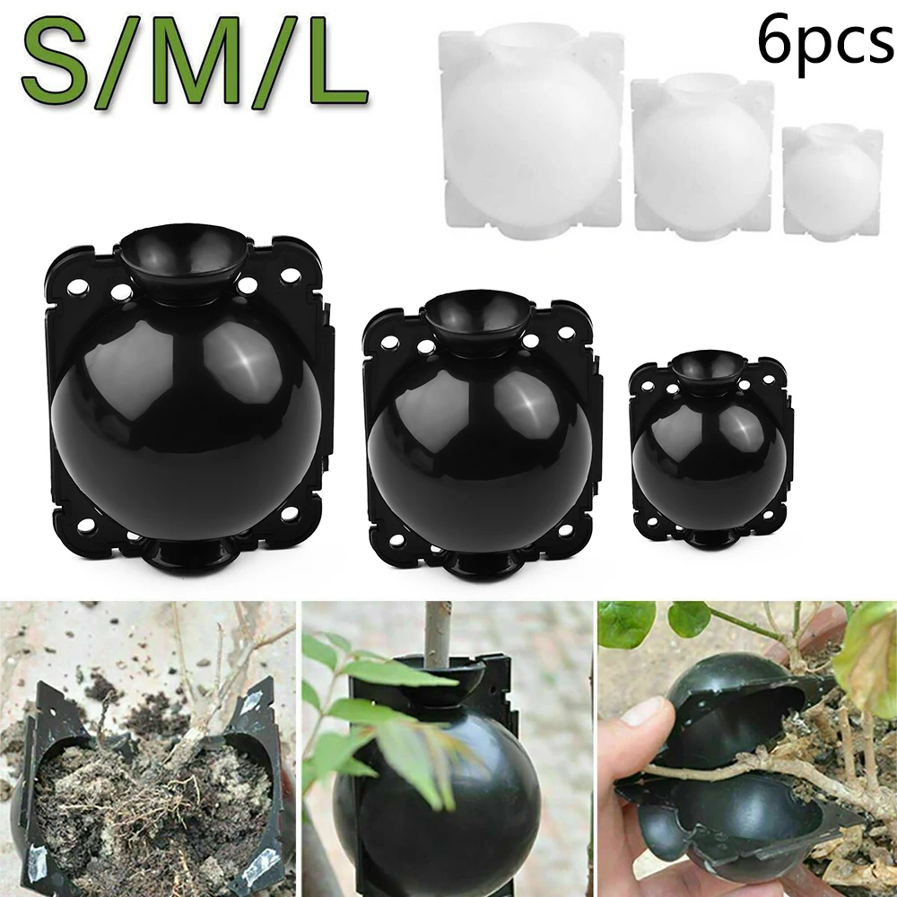 6Pcs Botanica Plant Rooting Root Device Propagazione Della Pressione Ball Box Innesto Nursery Box Propagazione Jardinage Plant Root Pot