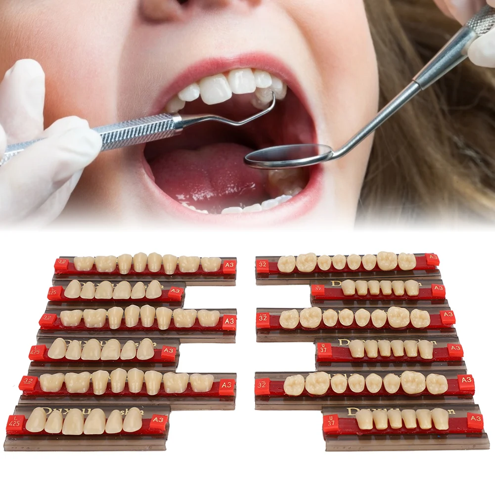 Dentale Sintetico Sintetico Denti Finti Materiale Dentale Denti Protesi Dentista Forniture Per La Realizzazione Di Modelli Di Protesi Per L'Apprendime