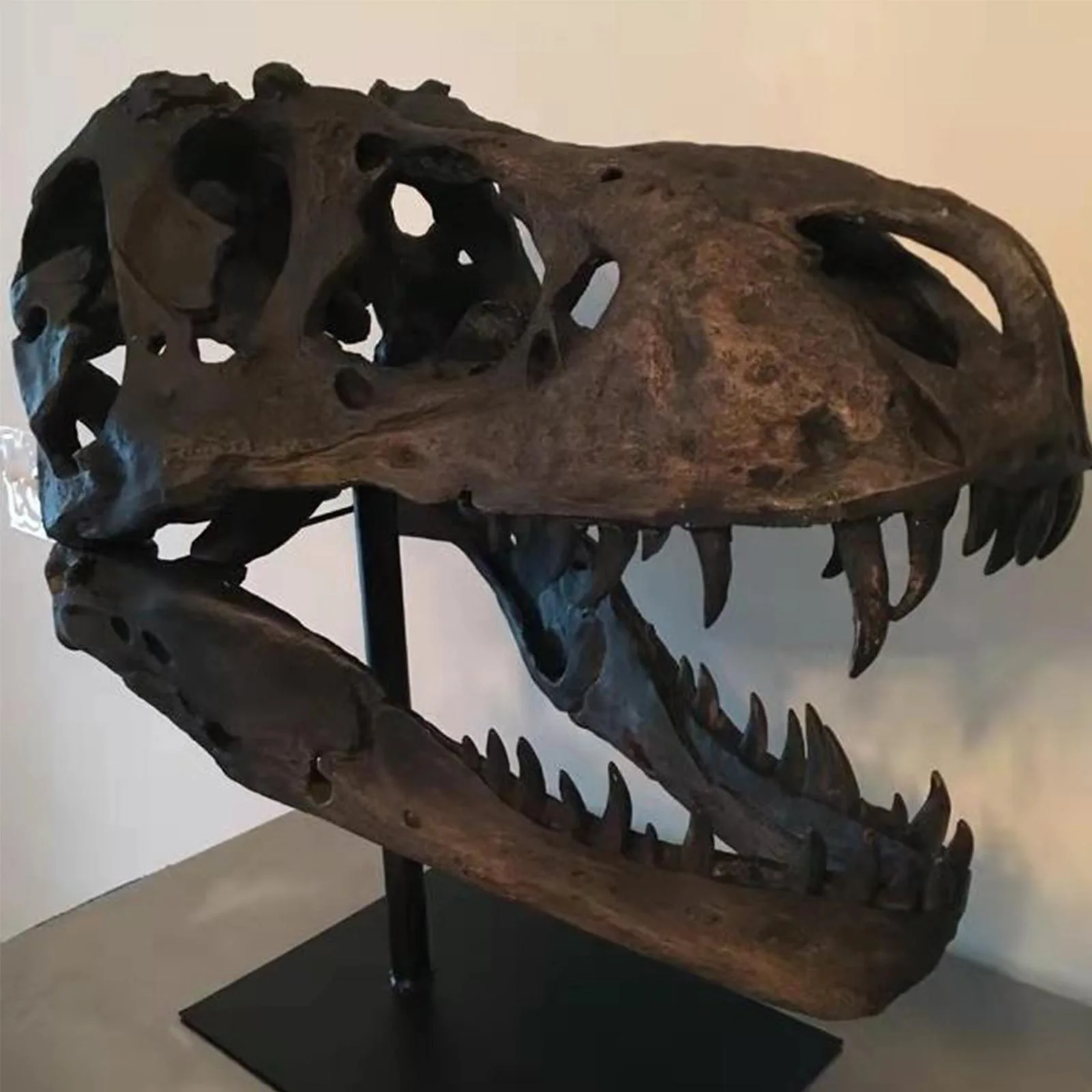 In Stock Crafts Arts Crafts 1/12 Tyrannosaurus Rex Dinosaur Skull Handicrafts Resin Fossil Simulation Skull Model 2023