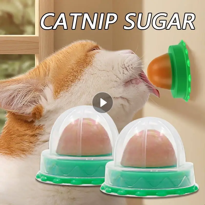 Nutrition Cat Catnip Ball Dust Cover Round Safe Catnip Snack Lick Candy Budino Alla Vitamina Catnip Lollipop Per Cat Kitten Ragdoll