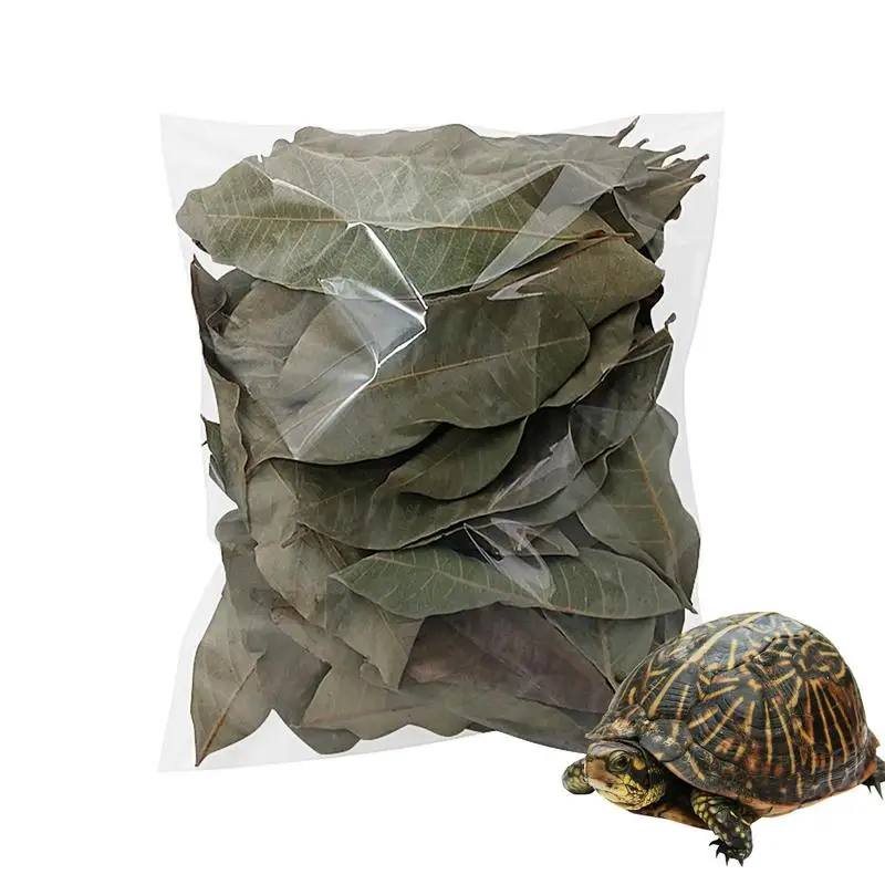 Turtle Longan Leaf Aquarium Leaf Betta Fish Tank Accessori Giocattoli Foglie Di Longan Per Migliorare La Qualità Dell'Acqua E Creare Realistico
