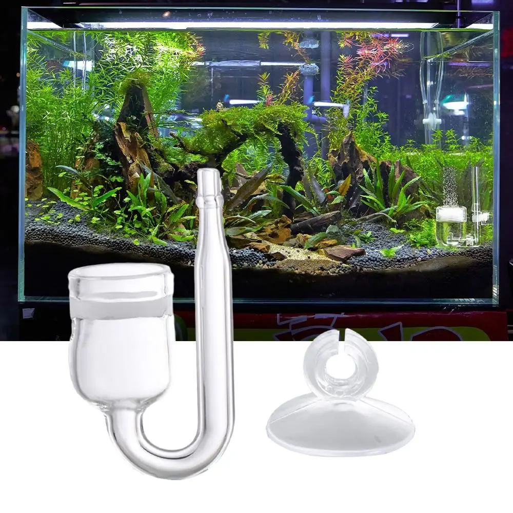 U-Tubes Co2 Refiner Con Ventosa Fish Tank Acquario Mini Diffusore High Borosilicato Glass Co2 Refiner Regulator Accessori