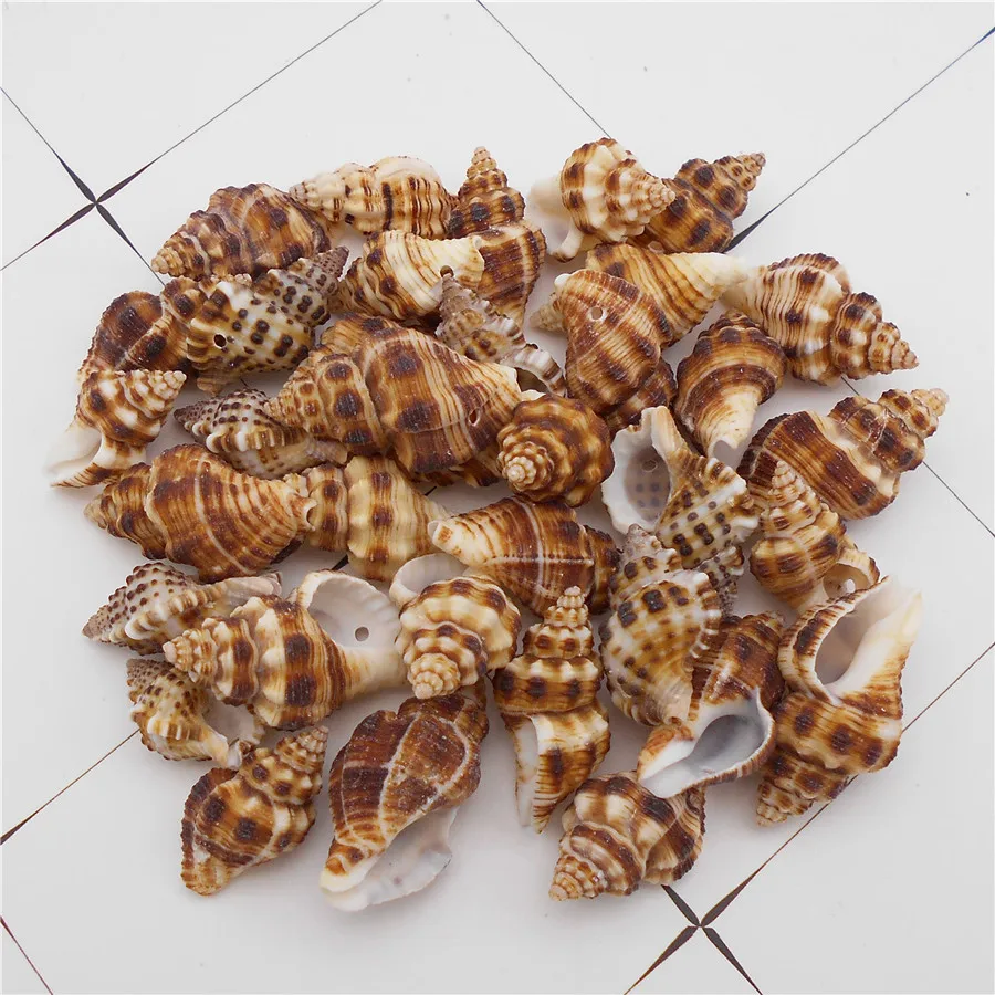Julie Wang 10Pcs Natural Shell Conch Beads Con Foro Sea Shell Charm Allentato Spacer Bead Collana Braccialetto Accessorio Per La Creazione Di Gioielli