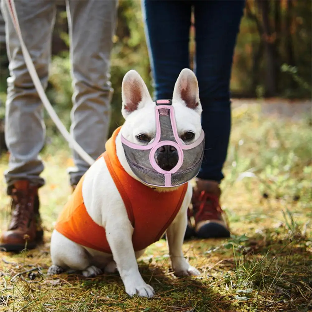 Il Cane Corto Innovativo E Confortevole Ecologico Previene La Museruola Che Abbaia Per La Museruola Speciale Del Cane Da Gita