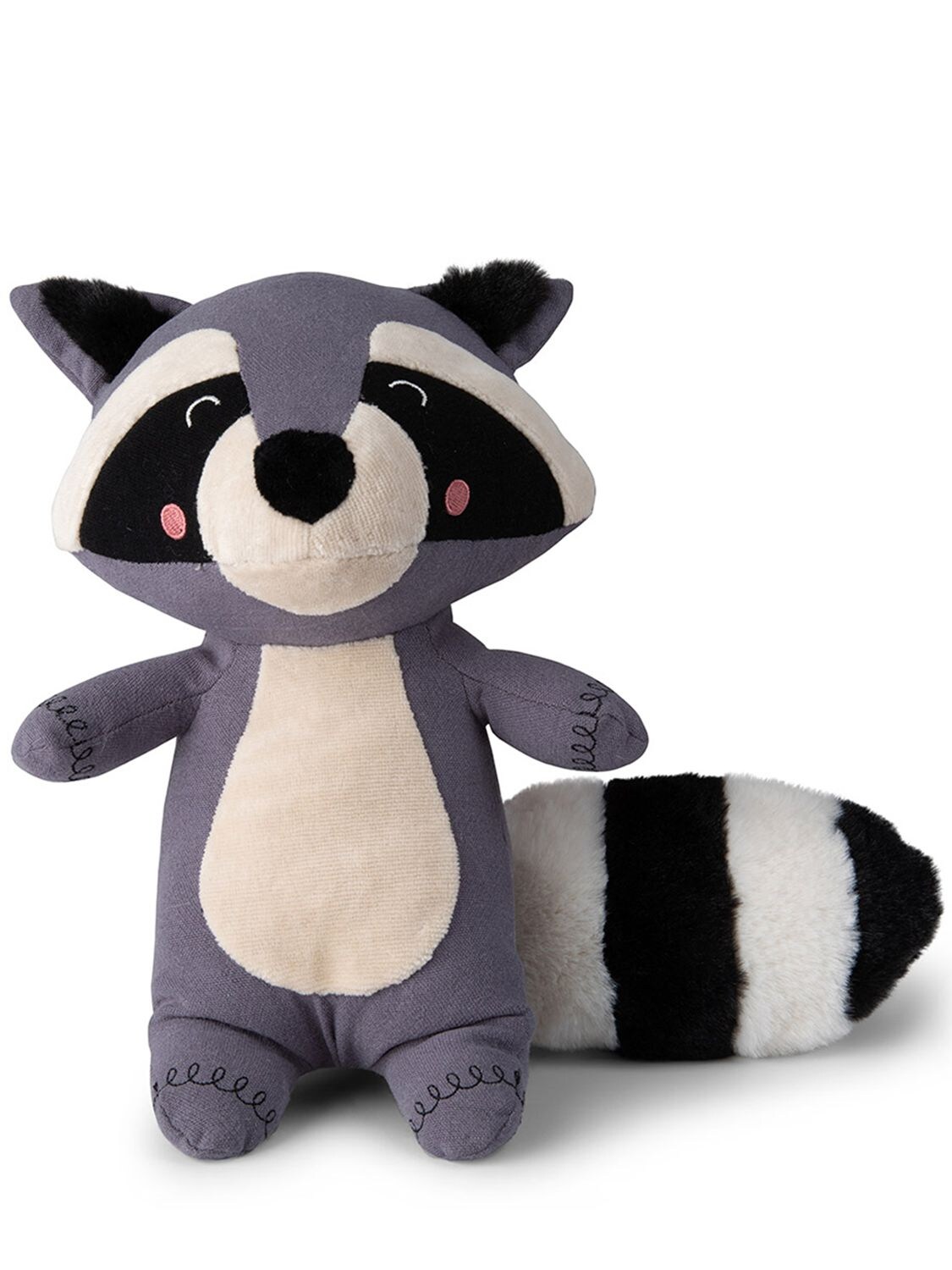 Raccoon Ritchie