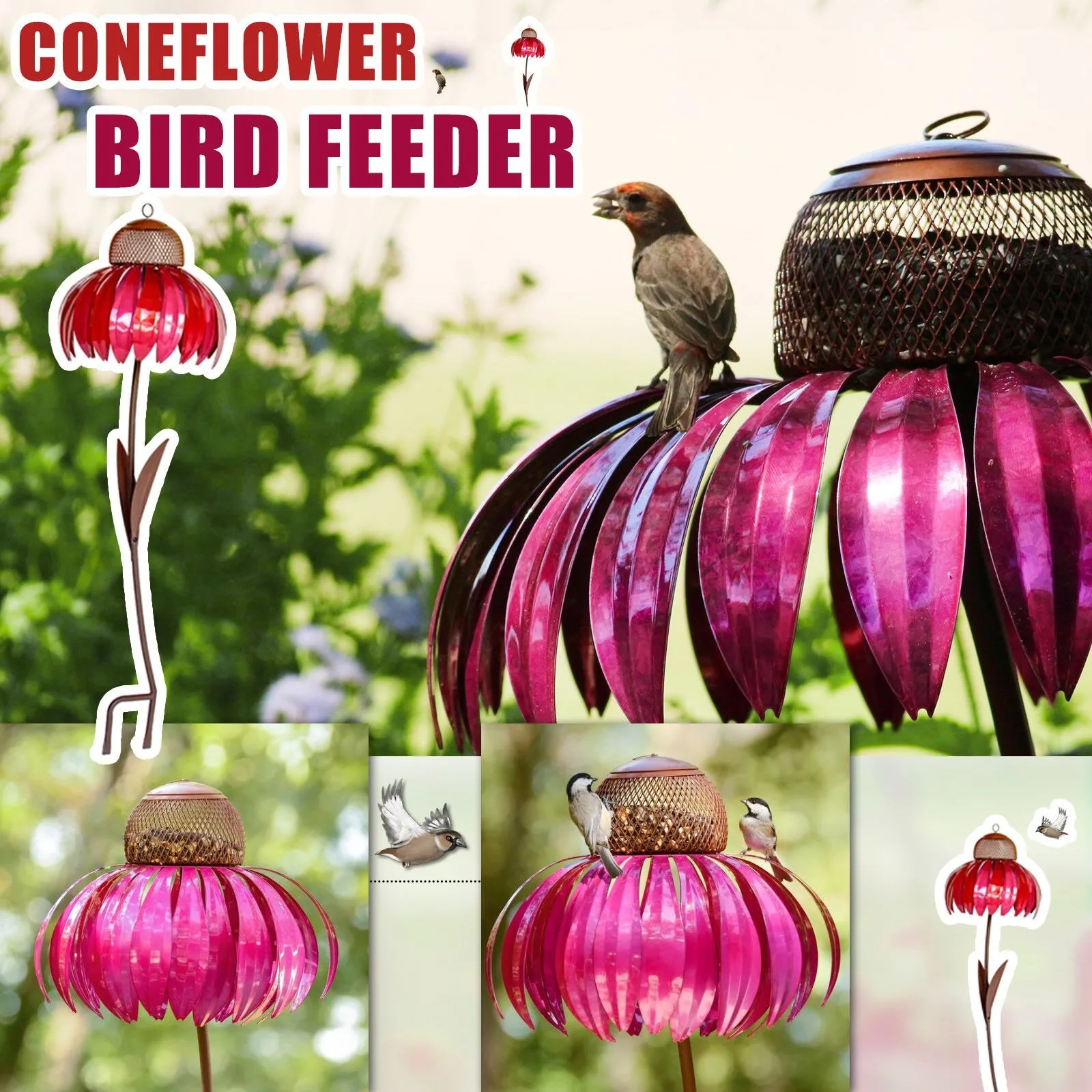 Sensation Coneflower Mangiatoia Per Uccelli Mangiatoia Per Uccelli Selvatici Gazebo Mangiatoia Per Colibrì Mangiatoie Per Uccelli Nuova Moda E Semplic