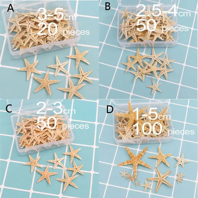 Belle Conchiglie Marine Stelle Marine Naturali Stelle Marine Decorazioni Artigianali In Resina Epossidica Fai-Da-Te Ins