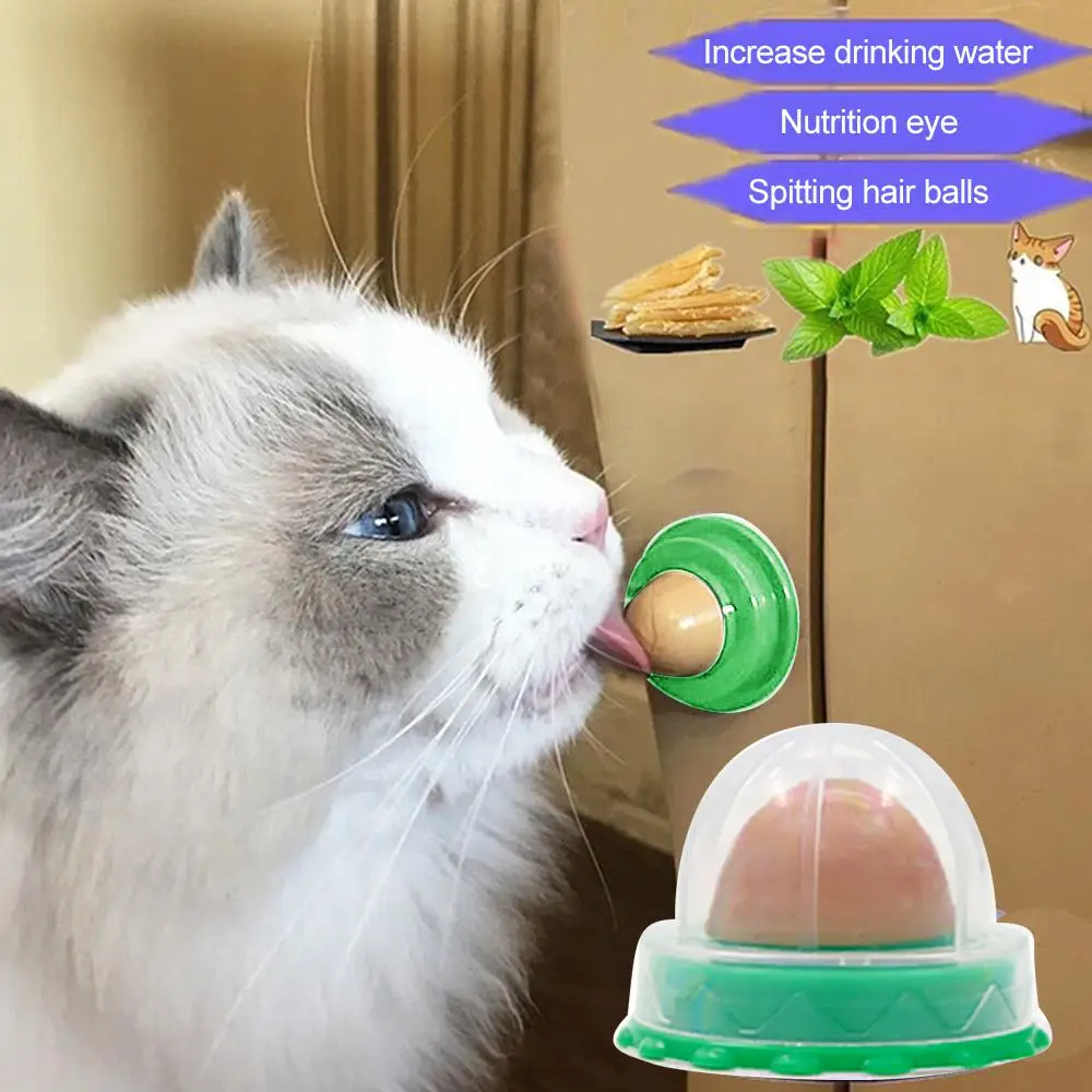 Cat Catnip Cat Toys Nutrizione Sana Cat Lollipop Cat Mint On The Wall Cat Energy Ball Candy Snack Merci Per Gatti Prodotti Per Animali Domestici