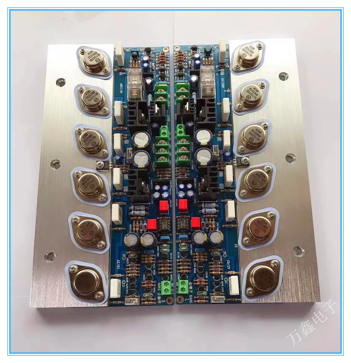 (Una Coppia) Accuphase E405 Gold Sealed Tube Pure Rear Amplifier Board High Power Hifi Fever Grade