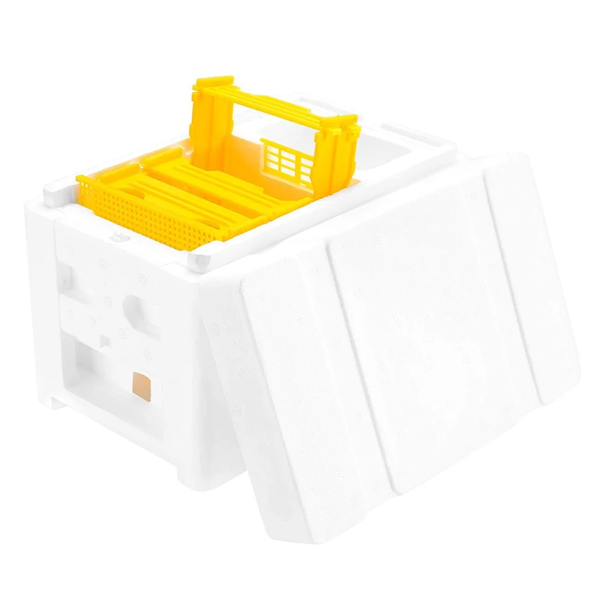 King/ Queen Bee Hive Foam Material Single/ Double Layers Box Strumento Multifunzionale Per L'Apicoltura Dell'Alveare Per L'Allevamento Della Regina