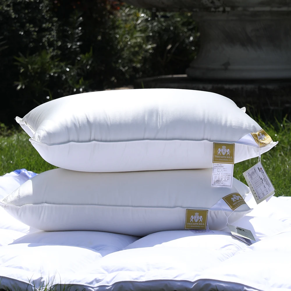 Triumph Hill Hotel Choiceness 100% Down Pillow Core White Goose Down Pillow Core 100% Cotton Help Sleep Può Essere Personalizzato Dimensioni