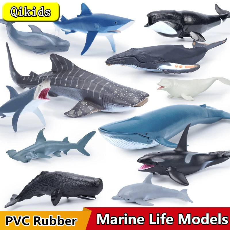 Simulazione Marine Sea Life Killer Whale Figurine Shark Toy Action Figures Ocean Animal Model Dolphin Hammerhead Giocattoli Educativi