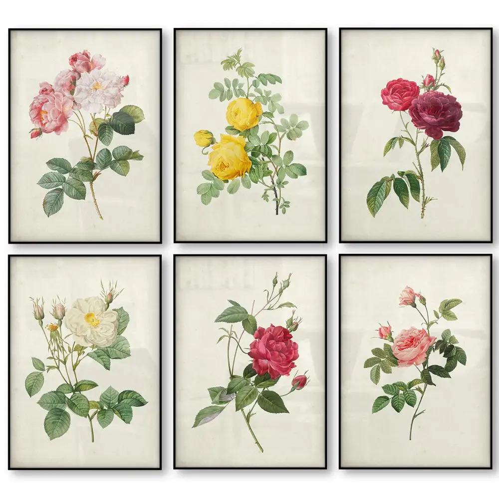 Botanical Rose Flower Vintage Red Pink Yellow White Rose Print Art Canvas Poster Per Soggiorno Decor Home Wall Picture